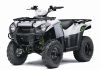 Kawasaki Brute Force 300
