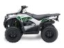 Kawasaki Brute Force 300