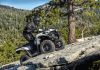 Kawasaki Brute Force 300