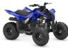 Yamaha YFM110R