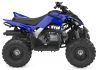 Yamaha YFM110R